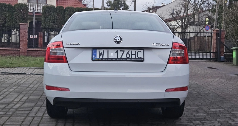 Skoda Octavia cena 42500 przebieg: 280000, rok produkcji 2016 z Warszawa małe 121